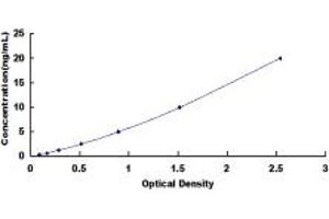Typical standard curve (PDE1A ELISA 试剂盒)
