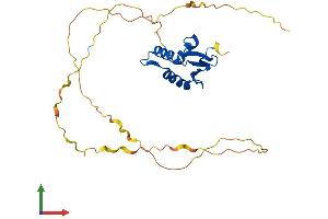 Protein Structure (PS) image for Spi-B Transcription Factor (Spi-1/PU.1 Related) (SPIB) (AA 1-262) protein (His tag) (ABIN7546345)