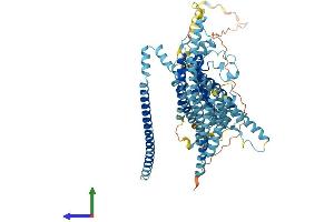 AlphaFold protein structure predicition of Human Recombinant TMC1 Protein, UniprotID Q8TDI8