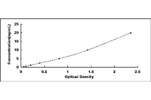 G Protein-Coupled Receptor Kinase 5 (GRK5) ELISA Kit
