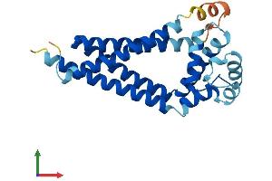 Protein Structure (PS) image for CD81 (CD81) (AA 1-236) protein (His tag) (ABIN7553332)