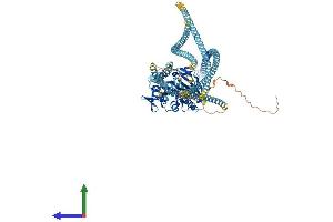 Protein Structure (PS) image for Kinesin Family Member 5C (KIF5C) (AA 1-957) protein (His tag) (ABIN7554382)