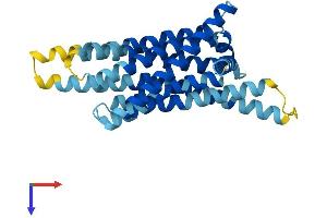 AlphaFold protein structure predicition of Mouse Recombinant Tas2r120 Protein, UniprotID Q7M721 (TAS2R120 Protein (AA 1-295) (His tag))