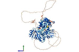 Protein Structure (PS) image for Discs, Large Homolog 3 (DLG3) (AA 1-817) protein (His tag) (ABIN7547136)
