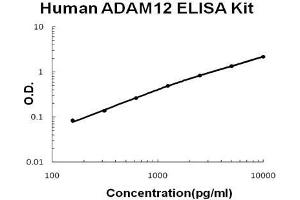 Human ADAM12 PicoKine ELISA Kit standard curve