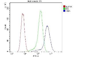 Flow Cytometry analysis of U20S cells using anti-ADA antibody (ABIN6719272).