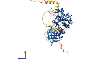 Protein Structure (PS) image for Mitogen-Activated Protein Kinase Kinase Kinase 8 (MAP3K8) (AA 1-467) protein (His tag) (ABIN7563607)