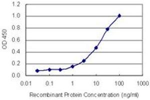Detection limit for recombinant GST tagged FOXK2 is 0. (Forkhead Box K2 抗体  (AA 561-660))