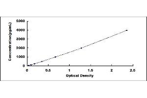 Typical standard curve (IGFBP2 ELISA 试剂盒)