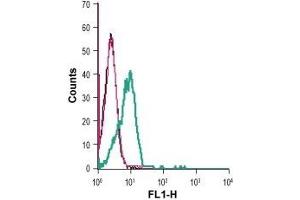 Cell surface detection of GPR83 in live intact human Jurkat T-cell leukemia cells: (black line) Cells. (GPR83 抗体  (Extracellular))