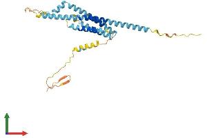 AlphaFold protein structure predicition of Mouse Recombinant Tmem176b Protein, UniprotID Q9R1Q6