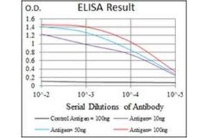 ELISA image for anti-Alkaline Phosphatase, Liver/bone/kidney (ALPL) antibody (ABIN1105293) (ALPL 抗体)