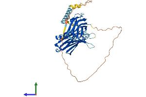 Protein Structure (PS) image for Synaptotagmin VII (SYT7) (AA 1-403) protein (His tag) (ABIN7565178)