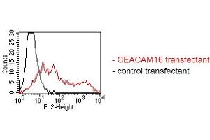 FACS analysis of BOSC23 cells using SU-9D5. (CEACAM16 抗体)