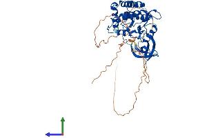 Protein Structure (PS) image for Casein Kinase 1, gamma 1 (CSNK1G1) (AA 1-459) protein (His tag) (ABIN7558874)