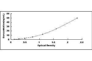 Typical standard curve (Complement C3 Convertase ELISA 试剂盒)