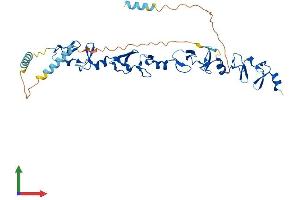 Protein Structure (PS) image for Leupaxin (LPXN) (AA 1-386) protein (His tag) (ABIN7560434)