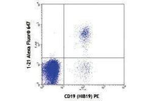 Flow Cytometry (FACS) image for anti-T-Cell Leukemia/lymphoma 1A (TCL1A) antibody (Alexa Fluor 647) (ABIN2658007) (TCL1A 抗体  (Alexa Fluor 647))
