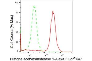 Flow cytometric analysis of Histone acetyltransferase 1 expression in HeLa cells using Histone acetyltransferase 1 antibody (ABIN7798921), 1:2,000).