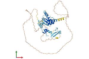 Protein Structure (PS) image for Zinc Finger and BTB Domain Containing 8A (ZBTB8A) (AA 1-441) protein (His tag) (ABIN7545526)