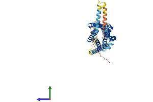 Protein Structure (PS) image for Neuromedin U Receptor 2 (NMUR2) (AA 1-415) protein (His tag) (ABIN7549795)
