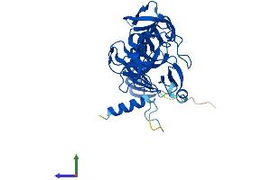 Protein Structure (PS) image for SET Domain Containing (Lysine Methyltransferase) 7 (SETD7) (AA 1-366) protein (His tag) (ABIN7564766)