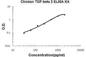 Chicken TGF-beta 2 PicoKine ELISA Kit standard curve (TGFB2 ELISA 试剂盒)