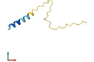 AlphaFold protein structure predicition of Mouse Recombinant Prcd Protein, UniprotID Q00LT2