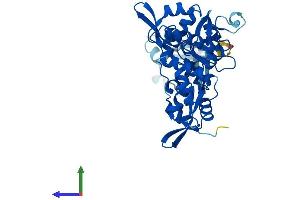 Protein Structure (PS) image for Sister Chromatid Cohesion Protein DCC1 (DSCC1) (AA 1-393) protein (His tag) (ABIN7547009)