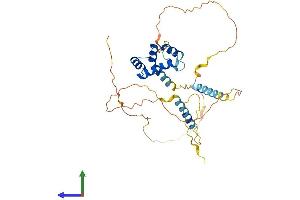 AlphaFold protein structure predicition of Human Recombinant MKX Protein, UniprotID Q8IYA7