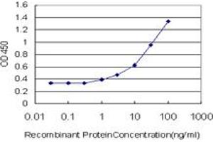 ELISA image for anti-Protein Kinase, AMP-Activated, alpha 1 Catalytic Subunit (PRKAA1) (AA 451-550) antibody (ABIN519163)