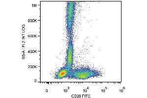 Surface staining of human peripheral blood cells with anti-human CD26 (BA5b) FITC. (DPP4 抗体  (FITC))