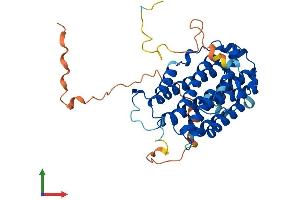 AlphaFold protein structure predicition of Human Recombinant RRM2 Protein, UniprotID P31350