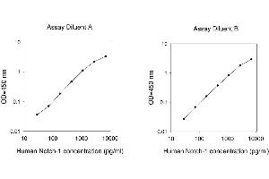 ELISA image for Notch 1 (NOTCH1) ELISA Kit (ABIN4883961) (Notch1 ELISA 试剂盒)
