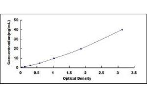 Typical standard curve (GOLM1 ELISA 试剂盒)