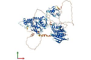 Protein Structure (PS) image for Tyrosine-Protein Phosphatase Non-Receptor Type 4 (PTPN4) (AA 1-926) protein (His tag) (ABIN7556264)