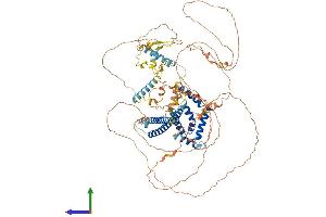 AlphaFold protein structure predicition of Mouse Recombinant Mlxipl Protein, UniprotID Q99MZ3