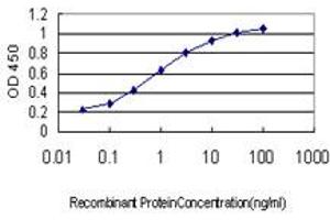 Detection limit for recombinant GST tagged USP43 is approximately 0. (USP43 抗体  (AA 315-423))