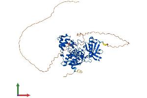 Protein Structure (PS) image for CDC-Like Kinase 2 (CLK2) (AA 1-499) protein (His tag) (ABIN7553501)