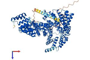 NAA15 Protein (AA 1-865) (His tag)