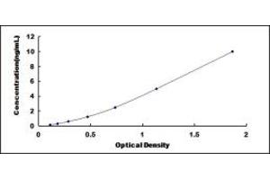 Typical standard curve (CHAF1B ELISA 试剂盒)