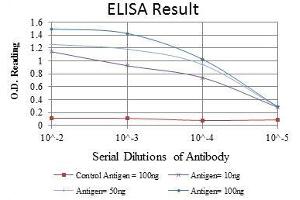 ELISA image for anti-Actin, alpha 2, Smooth Muscle, Aorta (ACTA2) antibody (ABIN968945)