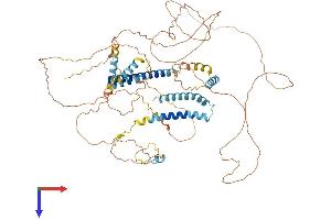 CNST Protein (AA 1-725) (His tag)
