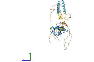 Protein Structure (PS) image for HERPUD Family Member 2 (HERPUD2) (AA 1-406) protein (His tag) (ABIN7548264)