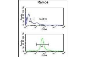 Flow Cytometry (FACS) image for anti-Cystathionine-beta-Synthase (CBS) (AA 104-133), (N-Term) antibody (ABIN1881141)