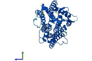 AlphaFold protein structure predicition of Mouse Recombinant Tm7sf2 Protein, UniprotID Q71KT5