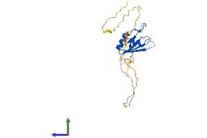 Protein Structure (PS) image for RNA Binding Protein with Multiple Splicing (RBPMS) (AA 1-197) protein (His tag) (ABIN7556313)