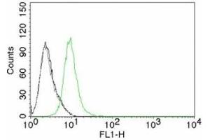 Flow cytometry testing of Jurkat cells. (CDKN1B 抗体)
