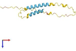 AlphaFold protein structure predicition of Human Recombinant LINC00596 Protein, UniprotID Q86U02