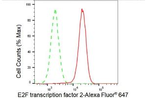 Flow cytometric analysis of E2F transcription factor 2 expression in HAP-1 cells using E2F transcription factor 2 antibody (ABIN7798414), 1:2,000).